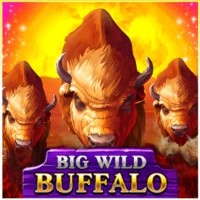 Logo of Big Wild Buffalo from Belatra Games at Casinobossy